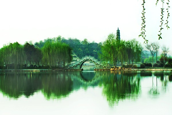 池州百荷公园.jpg