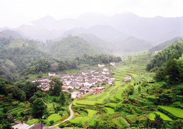 大山富硒村.jpg